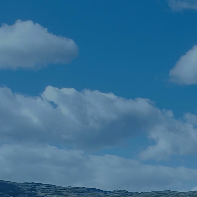 Profile picture of sandjai