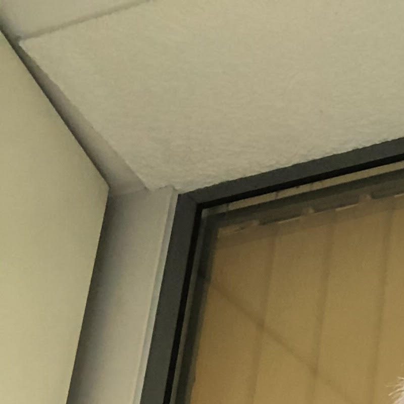 Profile picture of DokiBG